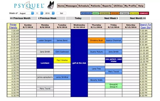 Psyquel Therapy Practice Management Software